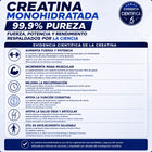 Creatina Monohidratada Premium® 300 g 99,9% Pureza • 200 Mesh • Testeada por HPLC